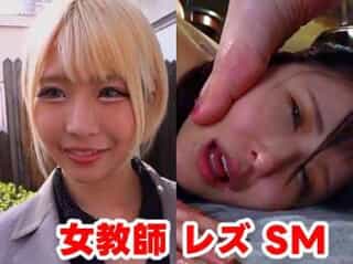 乙アリス